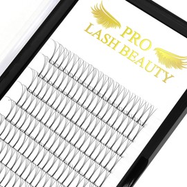 Premade Volume Eyelash Extensions 3D-D-0.10-09 Long Stem Premade Fans Eyelash Extensions .07 .10 Premade Volume Fans Volume Lash Extensions C D Curl(3D-D-0.10,9 mm)