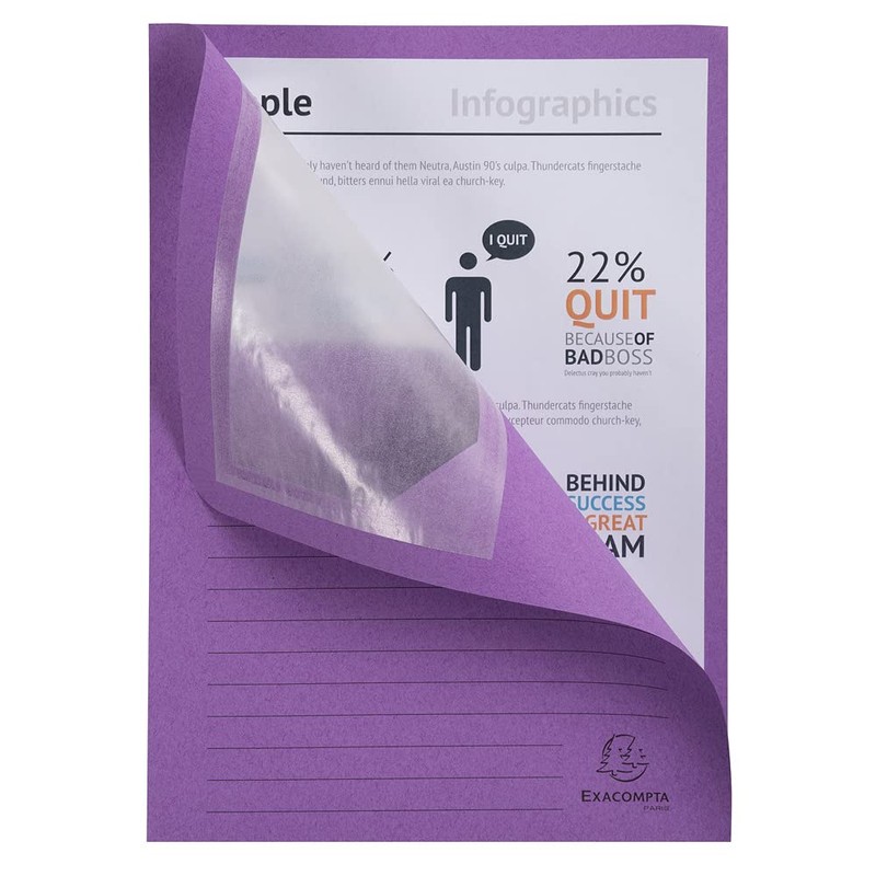 Exacompta - Ref 50000E - Forever Collection - Window Folders