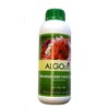 ALGOplus Geranium and Patio Plants Liquid Fertilizer for Houseplant and Organic Garden - Plant Food with Micro-Nutrients NPK N4 P6 K8 - 1-Liter Bottle