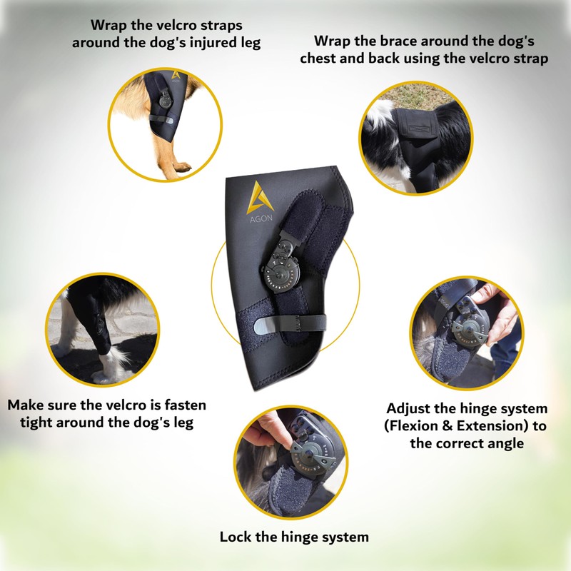AGON Dog Elbow Brace for Elbow Support – Adjustable Hinge