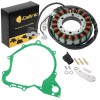 Celox STATOR & GASKET Fit YAMAHA XVS650 V-STAR 650 SILVERADO