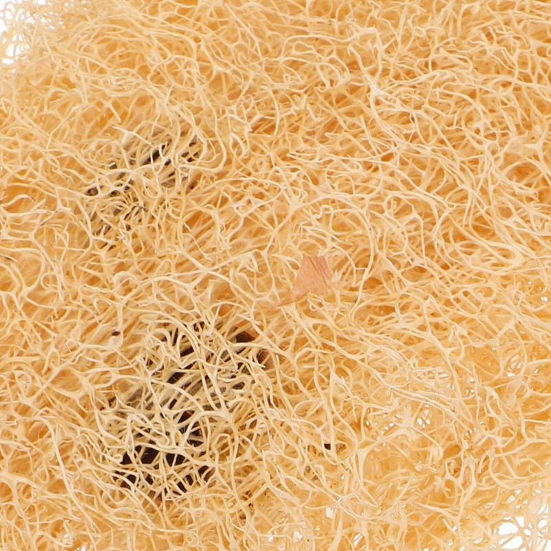 Healvian Loofah Sponge,Loofah Exfoliating Body Scrubber Loofa Body Sponge,Shower Sponge