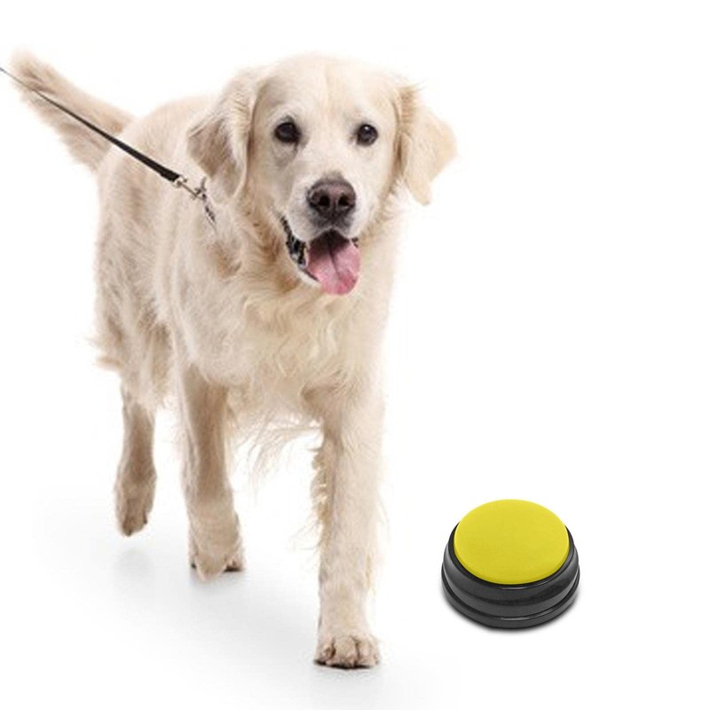 F Fityle Recordable Sound Button Communication Interactive Toy Recorder Playback