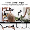 Brinno 3-in-1 Monopod, Phone Tripod, Clamp Mount with Phone Holder,