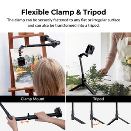 Brinno 3-in-1 Monopod, Phone Tripod, Clamp Mount with Phone Holder, 360° Rotation, Universal Phone Holder for Tripod, Fit for Brinno Time Lapse Camera & Action Camera & Mobile Phones - ACC1100