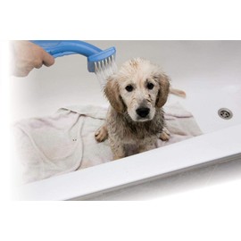 Pet Zoom Bathe N' Groom Indoor Outdoor Dog Washer and Grooming System with 4 Foot Hose and Three Connectors