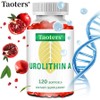 Urethane A supplement 2000mg - Cell Energy Strengthening, 1 unit, 120 servings / 우레탄 A 보충제 2000mg - 세포에너지 근력강화, 1개, 120회분