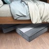 YUEcthynous Pack of 2 Premium Underbed Storage Containers for Under