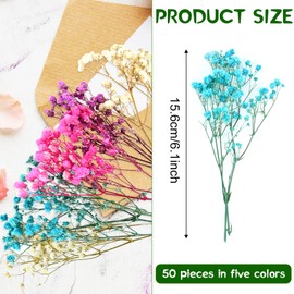 50 Pcs Colorful Babys Breath Dried Flowers Mini Natural Gypsophila Flowers Bouquets Bulk Babys Breath Flowers with Stems for Flower Garland Invitations Mothers Gift Hair Accessories DIY Art
