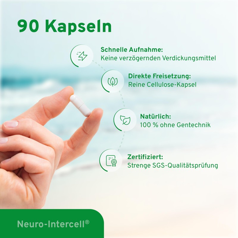 Neuro-Intercell Vitamin B Complex (90 Capsules) - High Dose for