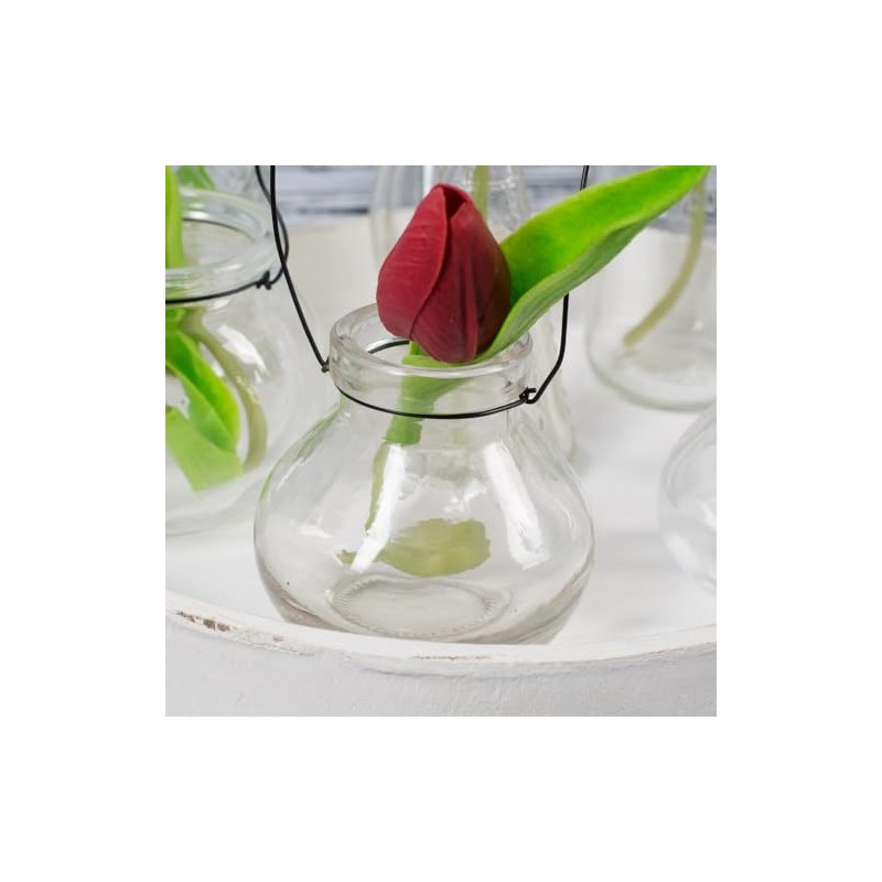 Richland Vintage Jar Mini Hanging Glass Vase Set of 12
