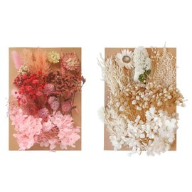 Lyra’s Natural Pressed Flowers Multiple Colorful Real Dried Flowers Decorative for Art Crafts DIY,Dry Flat Flowers Leaves for Resin Molds, Soap Candle Scrapbooking（Pink+White）