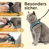 Tierhood - Cat Harness Set with Lead for Controlled Freedom