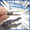 LWMINGALG Cat Handle Stick Painting Booth, 50 Pieces, Hobby Painting