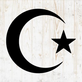 Moon Sticker - Moonlight Night Phase Planet Lunar Full Eclipse - Vinyl Decal for Wall Car Home Bike Bottle Phone Laptop DWSV2362