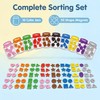 Magnetic Colour Sorting,10 Pcs Fridge Magnets with 50 Vibrant Learning