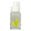 1 Cheongmijeong Cactus Ampoule 50ml / 1개 청미정 선인장 앰플 50ml