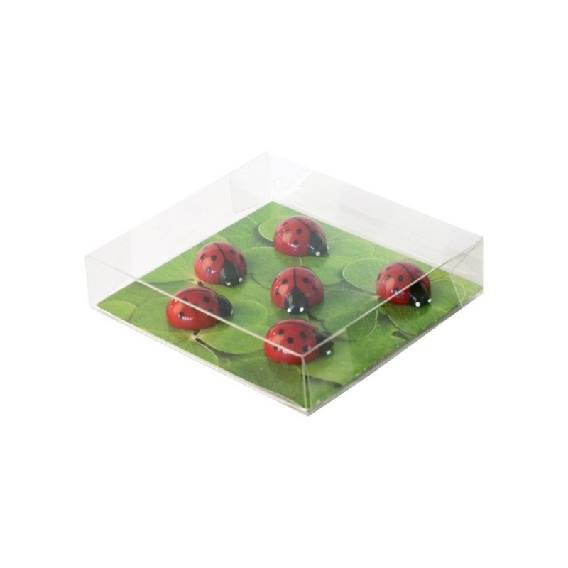 Trendform® Assorted Animal Style Office Magnets - Lady Bugs (1