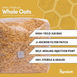 Mycelium 3 lb Whole Oats Grain Spawn for Mushroom Cultivation | Sterilized Nutrient-Rich Bag with Self-Healing Injection Port – Ideal for Rapid Mycelium Colonization | Ready to Inoculate | Made in USA