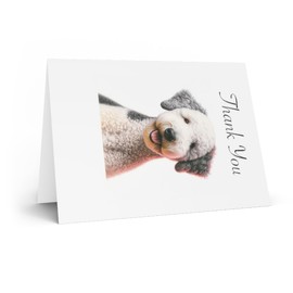 DistinctInk Greeting Card/Note Card -Bedlington Terrier Colored Pencil Drawing Birthday - PACK of 5