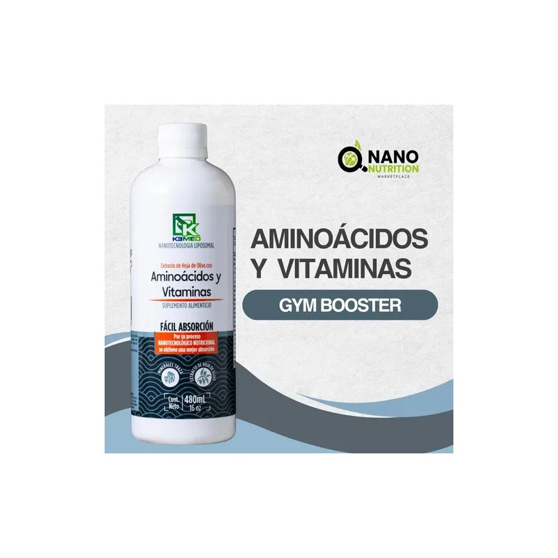 Aminoácidos Y Vitaminas Nano Nutrition Liposomal 480 Ml