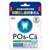 Glico Posca Clear Mint Eco Pouch, 2.6 oz (75 g)