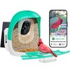 Bird Feeder with Camera | AI Recognition, Solar-Charged Video Bird