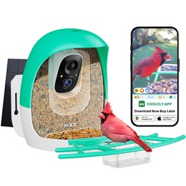 Bird Feeder with Camera | AI Recognition, Solar-Charged Video Bird Feeder Camera, Auto-Capture Video & Bird Arrival Alerts | Ideal Gift for Bird Enthusiasts | Pea Green