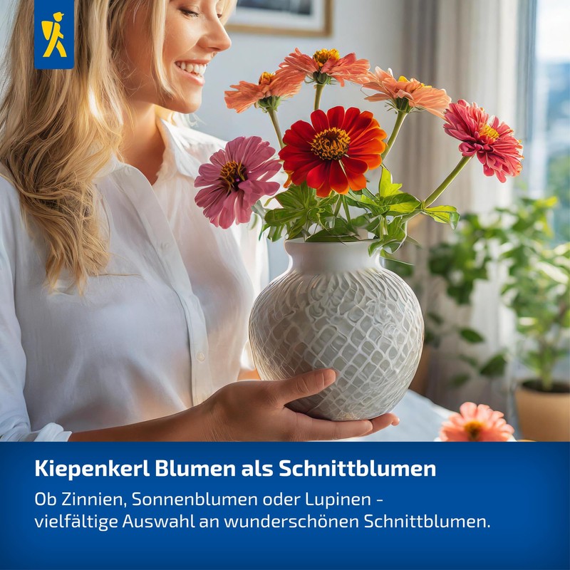 Kiepenkerl Blue Cushion Superbissima Mix 106063