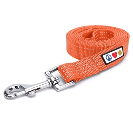 Pawtitas 6 FT Dog Leash - Reflective Orange Puppy Leash with Comfortable Handle and Heavy Duty Training
