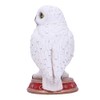 Nemesis Now Wizard's Familiar Owl Figurine, White, 10cm