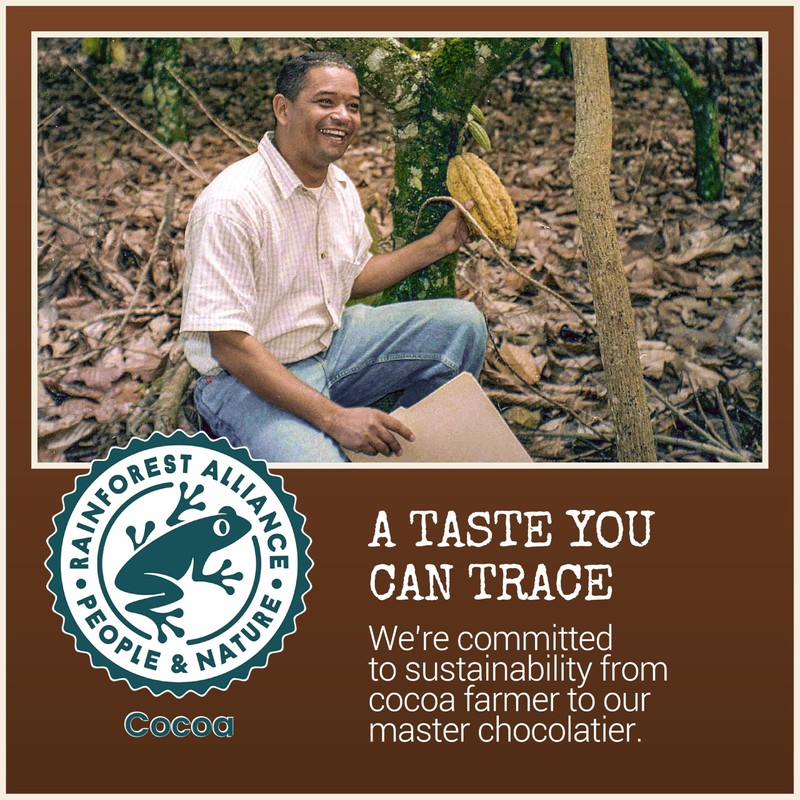 Chocolove Coffee Crunch Dark Chocolate Bars | 55% Cocoa |