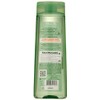 Garnier Hair Care Fructis Sleek and Shine Zero Shampoo, 12.5