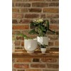 Räder Small Light Design Juri