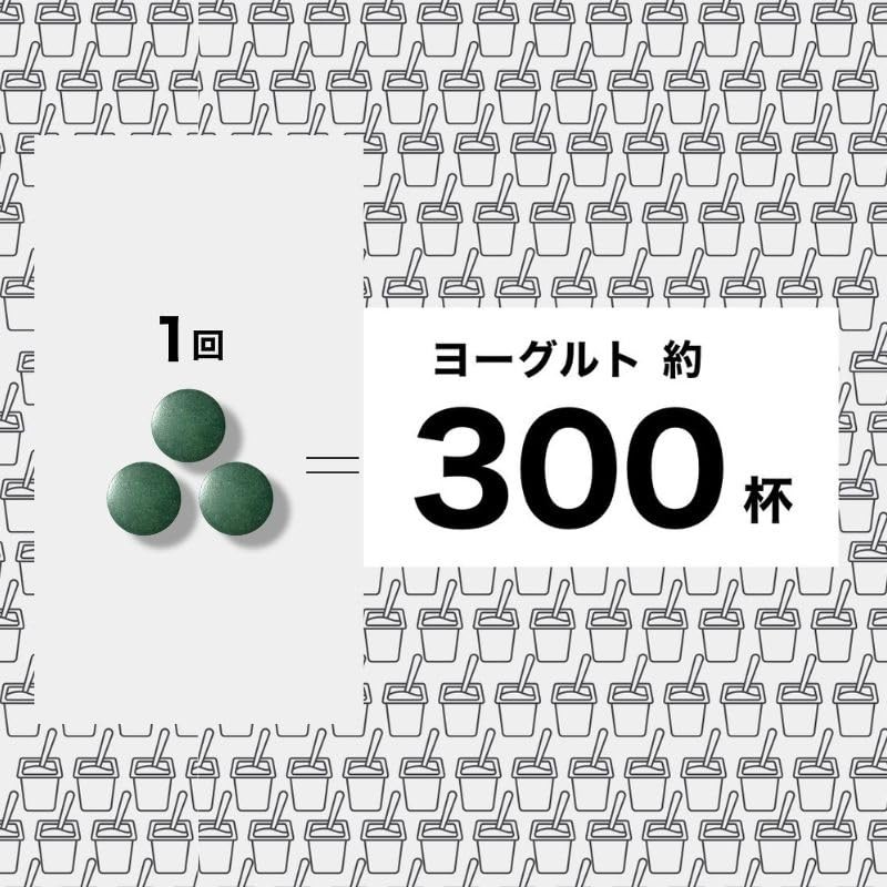 MYNATURA モリンガ タブレット 300mg×90粒 乳酸菌 ビフィズス菌 サプリメント ２袋セット