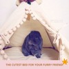 MINICAMP Rabbit Hideaway - Cozy Small Dog Bed - Stylish