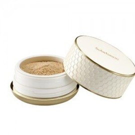 Perfecting Powder 20g No. 21N Beige / 퍼펙팅 파우더20g 21N호 베이지