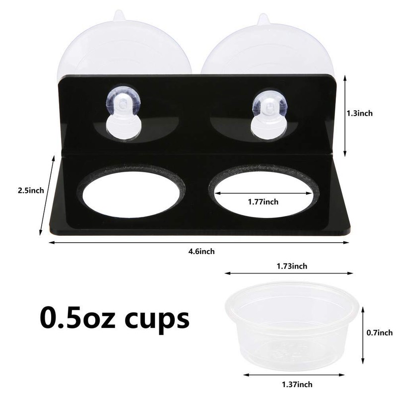 SLSON Gecko Feeding Ledge Acrylic Suction with 20 Pcs 0.5oz