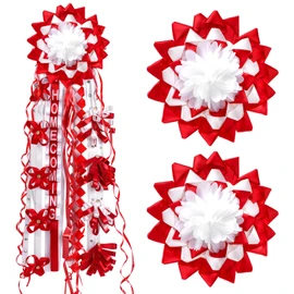 Suncalla 2 Pcs 10 Inch Homecoming Mum Flower Silk Homecoming Accessories Kit DIY Mum Supplies Crafts for Back to School Week Celebrations Party Holiday Outdoor Decorations(Red)