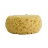 PARADISO Evriholder Sea Foam Body Sponge for Scrubbing and Exfoliating,