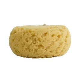 PARADISO Evriholder Sea Foam Body Sponge for Scrubbing and Exfoliating, Set of 2, Large Srubbing Loofah for A Relaxing Shower or Bath