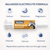 VetSet RechargeR Horse Electrolyte Paste 2 x 30ml Syringes