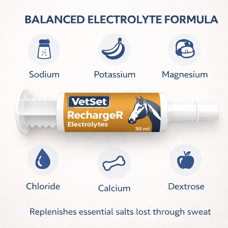VetSet RechargeR Horse Electrolyte Paste 2 x 30ml Syringes