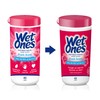 Wet Ones Antibacterial Hand Wipes, Fresh Scent Wipes | Antibacterial Wipes, Hand