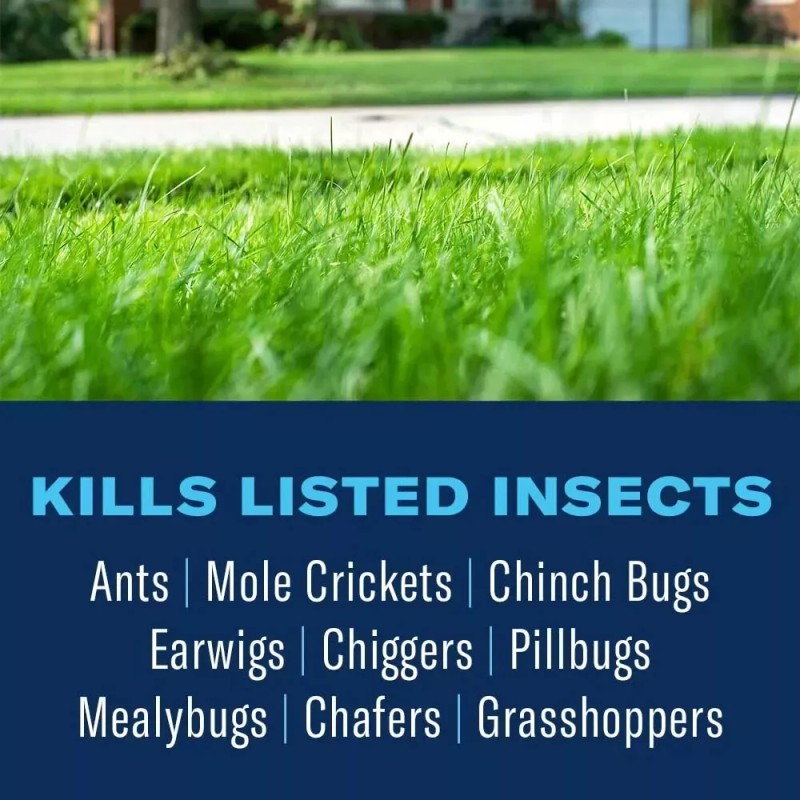 BioAdvanced Lawn Weed and Insect Killer 32 oz Concentrate