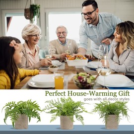 Small Fake Plant Potted Plants Artificial Decor Silk Boston Ferns Plant Faux Plants in Pots for Home Living Room Bedroom Desk Bathroom Window Shelf Farmhouse Decoration