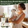 Trachea Cough Elixir, Collapsed Trachea Support for Dogs, Tracheal &