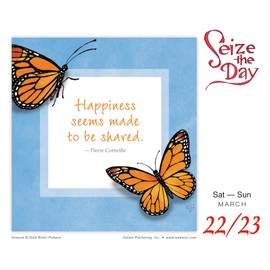 Seize the Day 2025 Boxed Daily Desk Calendar by Robin Pickens