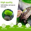 Turtle Brush with Suction Cup Turtle Brush Turtle Tank Accessories