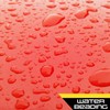 Formula 1 Carnauba Liquid Car Wax, High Gloss Shine &